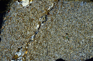 Cross Polarized, S97774