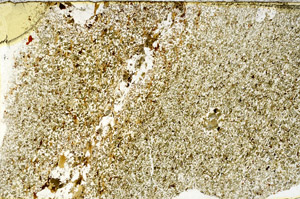 Plane Polarized, S97774