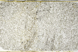 Plane Polarized, S97784