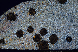 Cross Polarized, S97789
