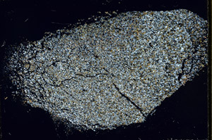 Cross Polarized, S97790