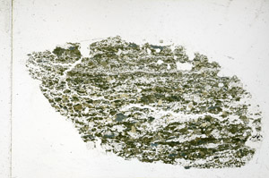 Plane Polarized, S97791