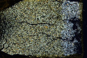 Cross Polarized, S97805