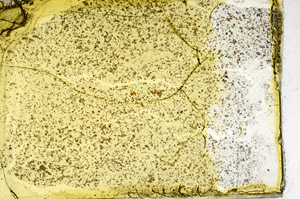 Plane Polarized, S97805