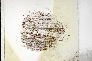 Plane Polarized, S97828
