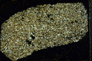 Cross Polarized, S97877