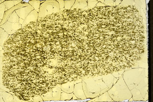 Plane Polarized, S97877