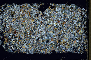 Cross Polarized, S97883