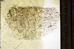 Plane Polarized, S97885