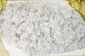Plane Polarized, S97895