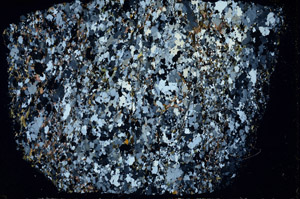 Cross Polarized, S97927