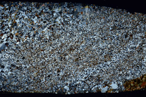 Cross Polarized, S97933