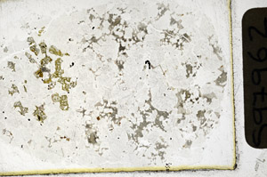 Plane Polarized, S97962