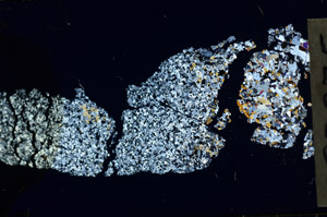 Cross Polarized, S97975