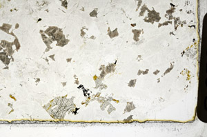 Plane Polarized, S97977