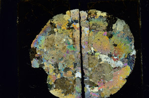 Cross Polarized, S98020