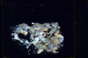 Cross Polarized, S98020/A