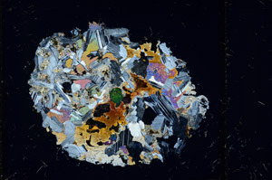 Cross Polarized, S98021/A