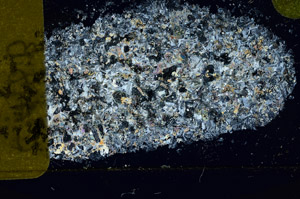 Cross Polarized, S98032