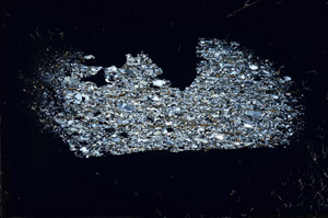 Cross Polarized, S98034