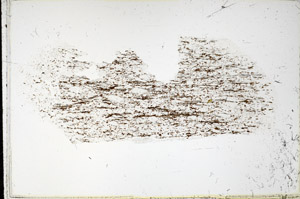 Plane Polarized, S98034