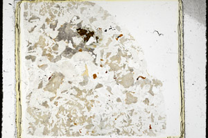 Plane Polarized, S98035