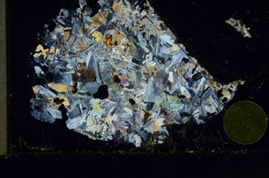 Cross Polarized, S98035/A