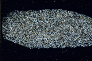 Cross Polarized, S98038/A