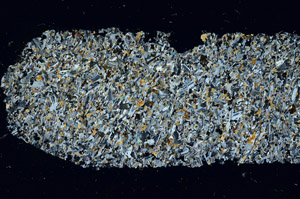 Cross Polarized, S98040