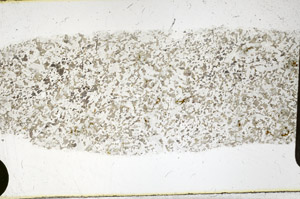 Plane Polarized, S98041