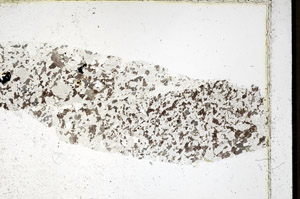 Plane Polarized, S98042