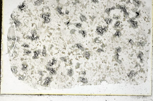 Plane Polarized, S98043