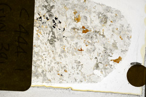 Plane Polarized, S98044