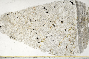 Plane Polarized, S98055