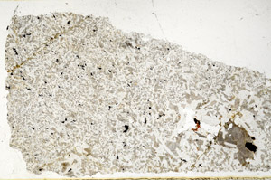 Plane Polarized, S98056