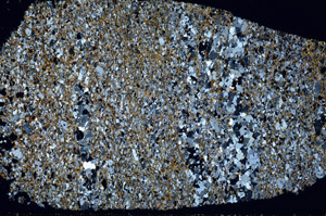 Cross Polarized, S98065/A