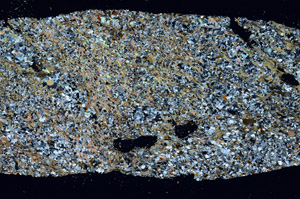 Cross Polarized, S98066