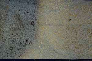 Cross Polarized, S98168