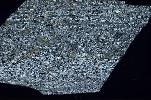 Cross Polarized, S98169