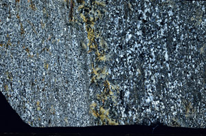 Cross Polarized, S98173