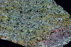 Cross Polarized, S98174