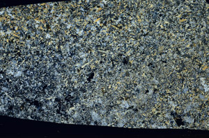 Cross Polarized, S98176