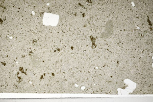 Plane Polarized, S98179