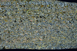 Cross Polarized, S98189