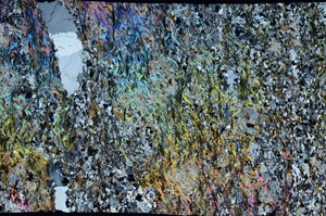 Cross Polarized, S98191