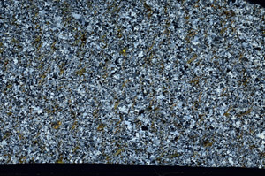Cross Polarized, S98203