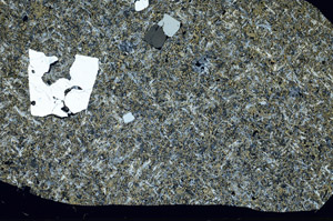 Cross Polarized, S98218