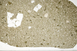 Plane Polarized, S98218