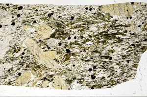 Plane Polarized, S98219