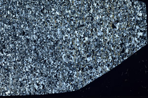 Cross Polarized, S98222
